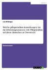 Welche pflegerischen Auswirkungen hat die Arbeitsmigration von 24h- Pflegekräften auf ältere Menschen in Österreich?