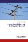 Inspection of Electrical Distribution Network