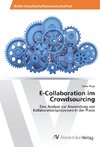 E-Collaboration im Crowdsourcing