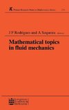 Mathematical Topics in Fluid Mechanics