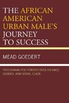 The African American Urban Male's Journey to Success