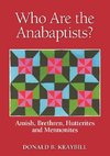 Who Are the Anabaptists?