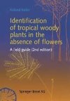 Identification of tropical woody plants in the absence of flowers