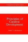 Principles of Catalyst Development