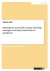 Sub-Saharan renewable energy. Assessing strategies and interconnections of producers