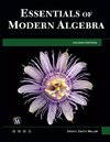 Essentials of Modern Algebra