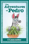 The Adventures of Pedro