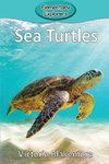 Sea Turtles