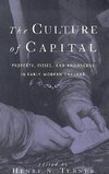 Turner, H: Culture of Capital