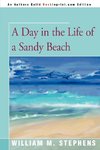 A Day in the Life of a Sandy Beach