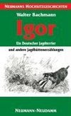 Igor - ein Deutscher Jagdterrier