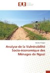 Analyse de la Vulnérabilité Socio-économique des Ménages de Ngozi