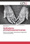 Urdimbres afrolatinoamericanas