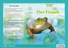 Der Frosch. Natur-Kamishibai