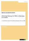 Marketing Strategy for SMEs in Emerging Economies