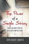 The Power of a Single Story