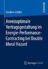 Anreizoptimale Vertragsgestaltung im Energie-Performance-Contracting bei Double Moral Hazard