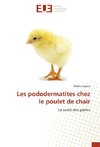 Les pododermatites chez le poulet de chair