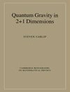 Quantum Gravity in 2+1 Dimensions