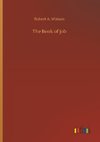 The Book of Job