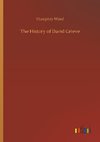 The History of David Grieve