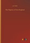 The Pilgrims of New England