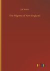 The Pilgrims of New England