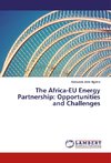 The Africa-EU Energy Partnership: Opportunities and Challenges