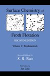 Surface Chemistry of Froth Flotation