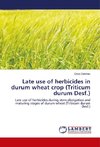 Late use of herbicides in durum wheat crop (Triticum durum Desf.)