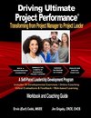 Driving Ultimate Project Performance