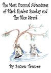 The Most Unusual Adventures of Black Shadow Smokey and The Blue Streak