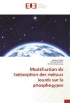 Modélisation de l'adsorption des métaux lourds sur le phosphogypse