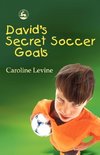 David's Secret Soccer Goals