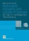 Rationales Handeln und soziale Prozesse