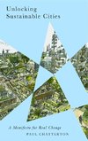 Unlocking Sustainable Cities