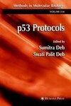 p53 Protocols