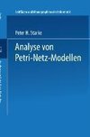 Analyse von Petri-Netz-Modellen