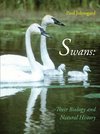 Swans