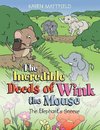 The Incredible Deeds of Wink the Mouse