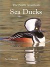 The North American Sea Ducks