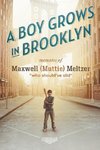 A Boy Grows in Brooklyn