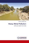 Heavy Metal Pollution