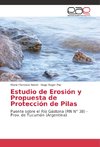 Estudio de Erosión y Propuesta de Protección de Pilas