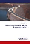 Mechanism of Dam Safety Instrumentation