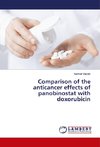 Comparison of the anticancer effects of panobinostat with doxorubicin