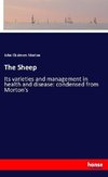 The Sheep