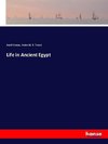 Life in Ancient Egypt