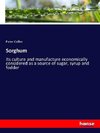 Sorghum