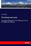 The Sheep and Lamb